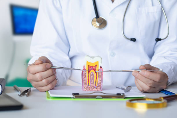 Best Pediatric Emergency Dentist in Marion, NC